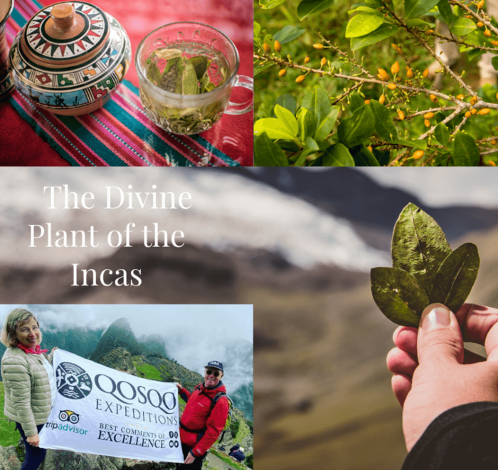 The-divine-plan-of-the-Incas