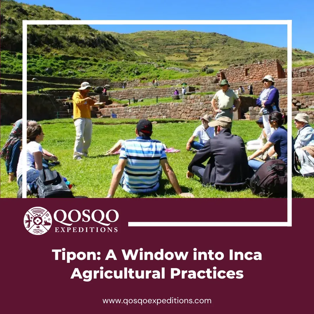 Tipon: A Window into Inca Agricultural Practices