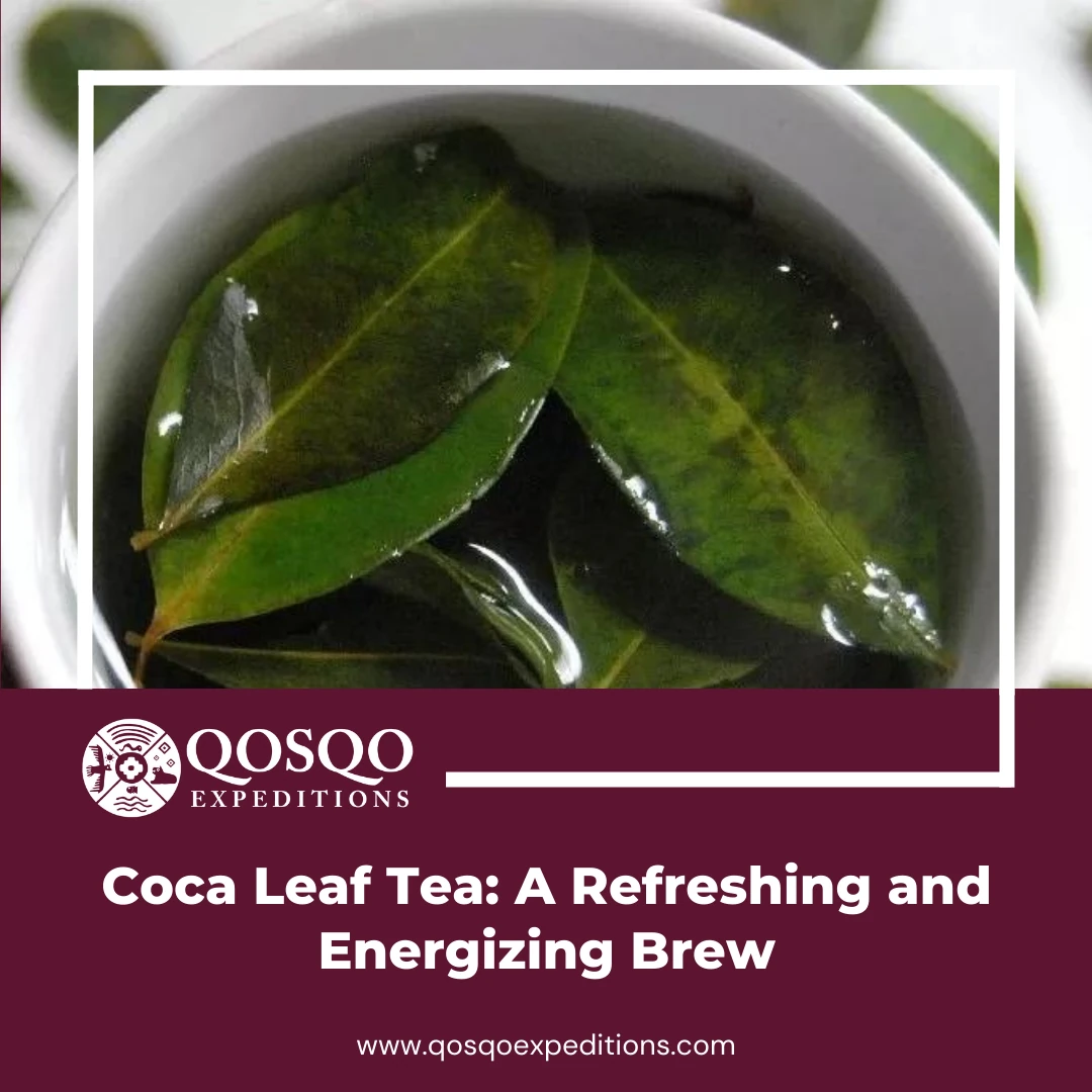 Coca Leaf Tea