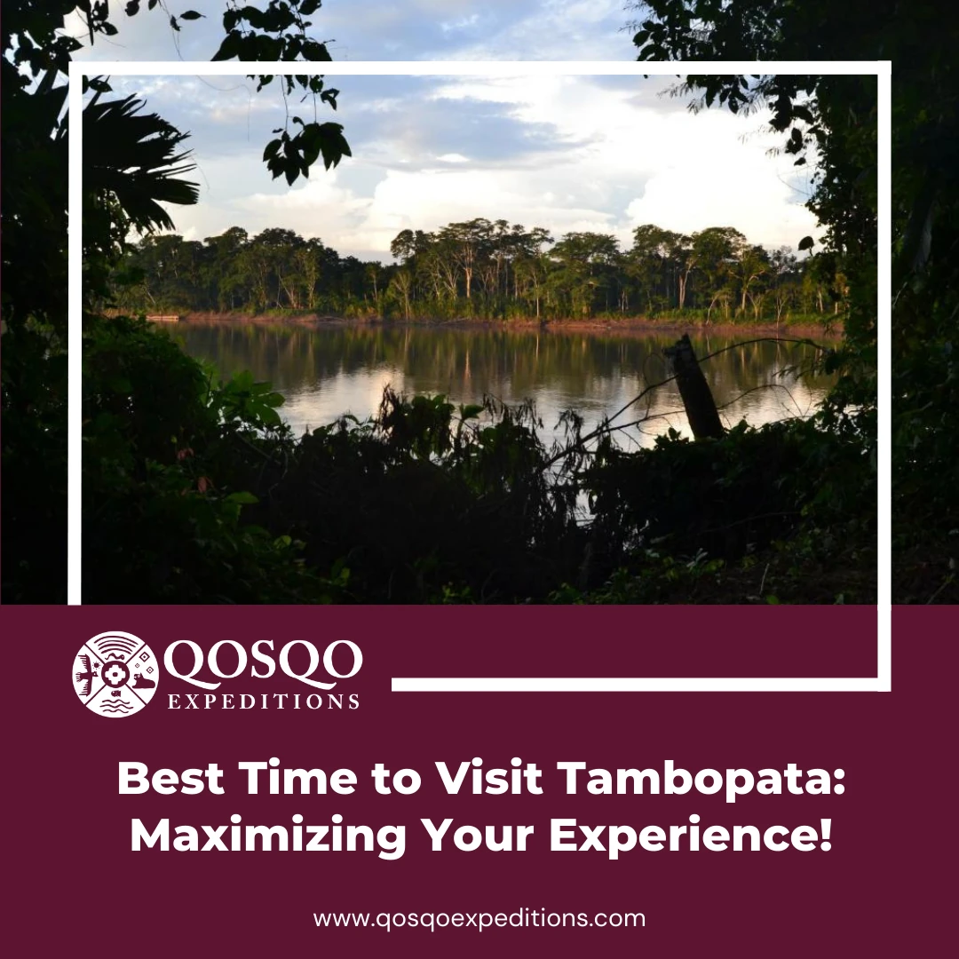 Best Time to Visit Tambopata: Maximizing Your Experience